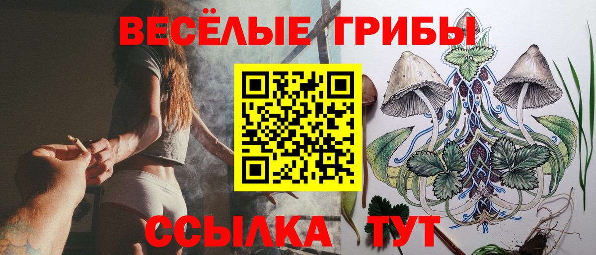 Галлюциногенные грибы MAGIC MUSHROOMS Кириши