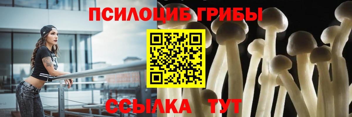 Галлюциногенные грибы Psilocybine cubensis  Вход с VPN  Кириши 